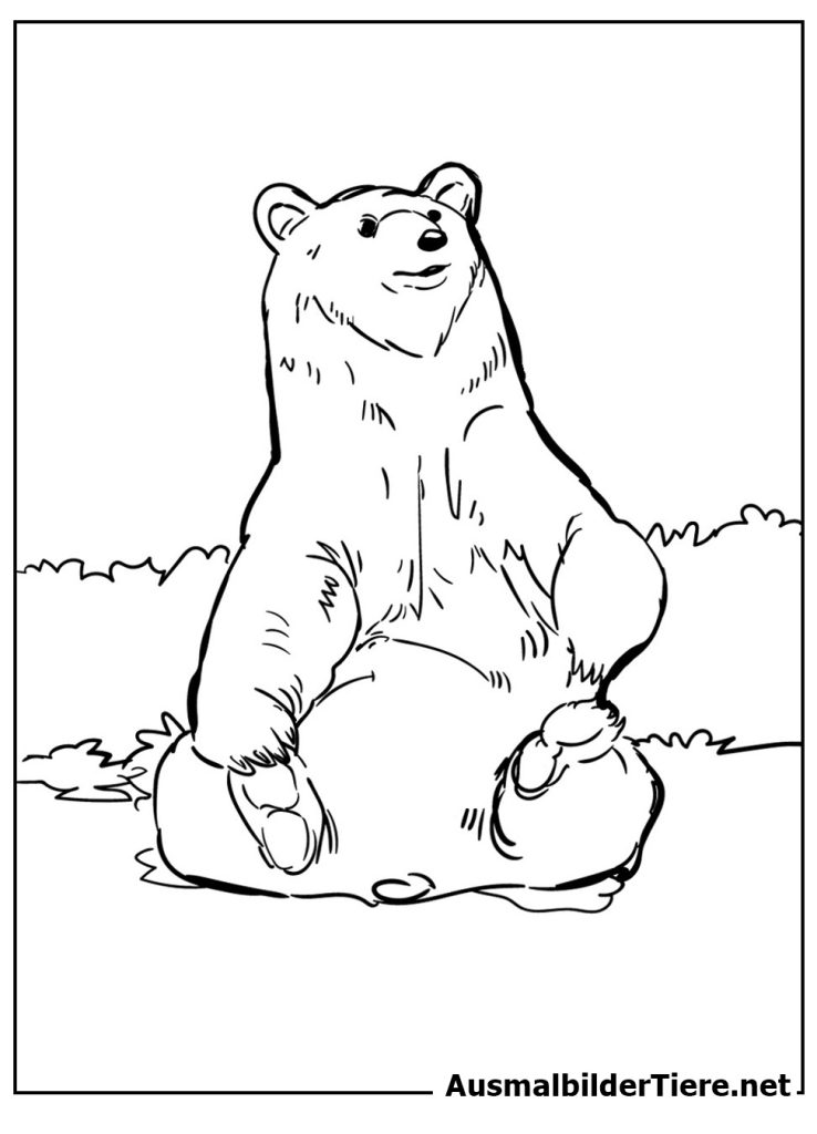 Detailliertes Ausmalbilder Bär - Malspaß mit dem Bären
