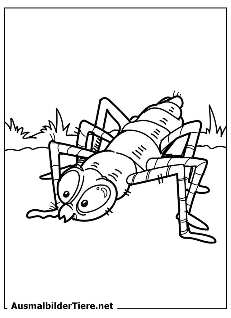 Ausmalbilder Insekten, Käfer für Kinder als PDF