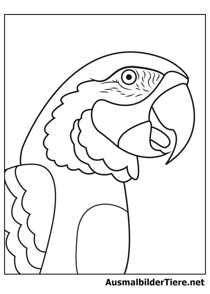 Ausmalbilder Papagei. 6 Stück, Kostenlos als PDF