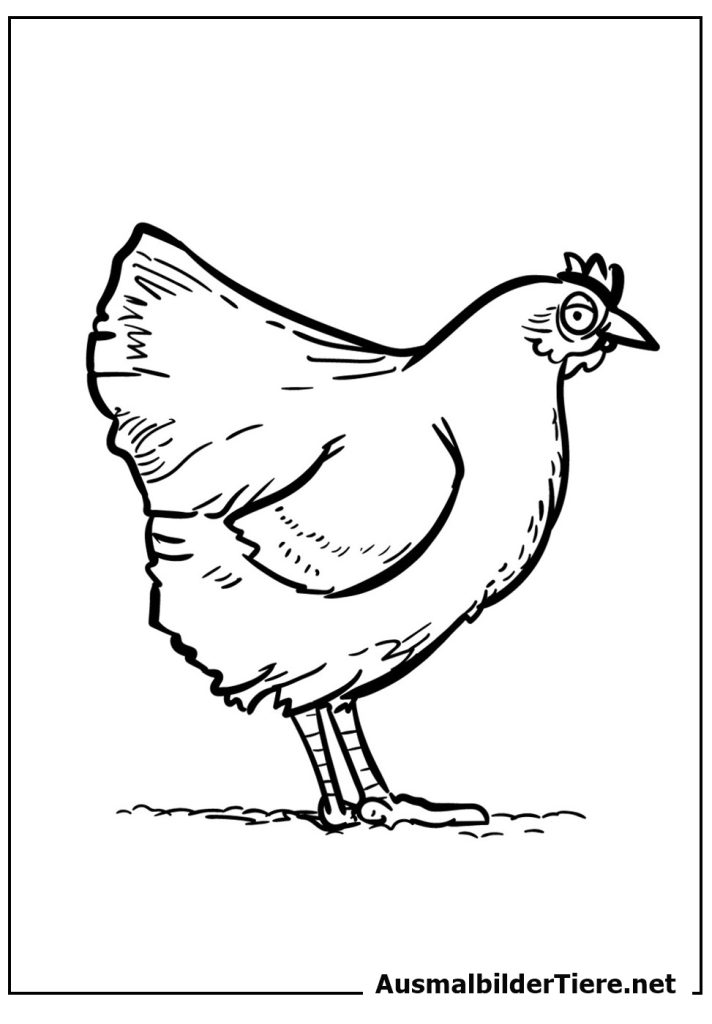 Malvorlagen Huhn für Kinder
