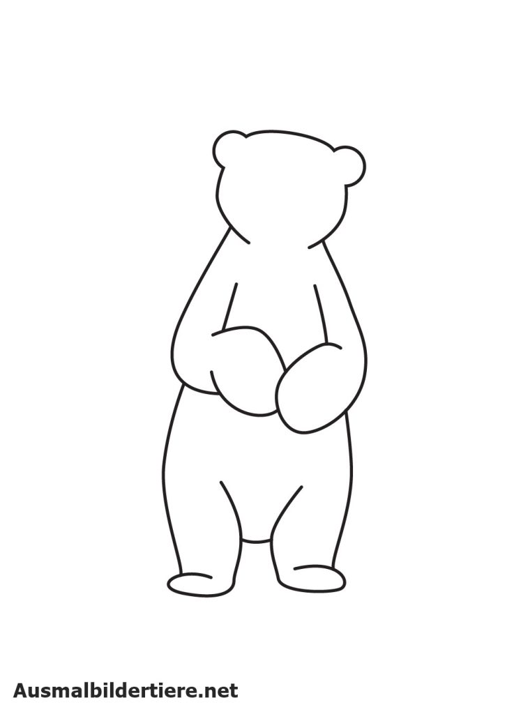 Eisbären Zeichnet Schritt 6