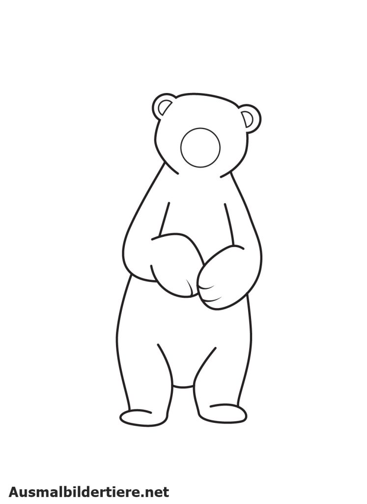 Eisbären Zeichnet Schritt 7