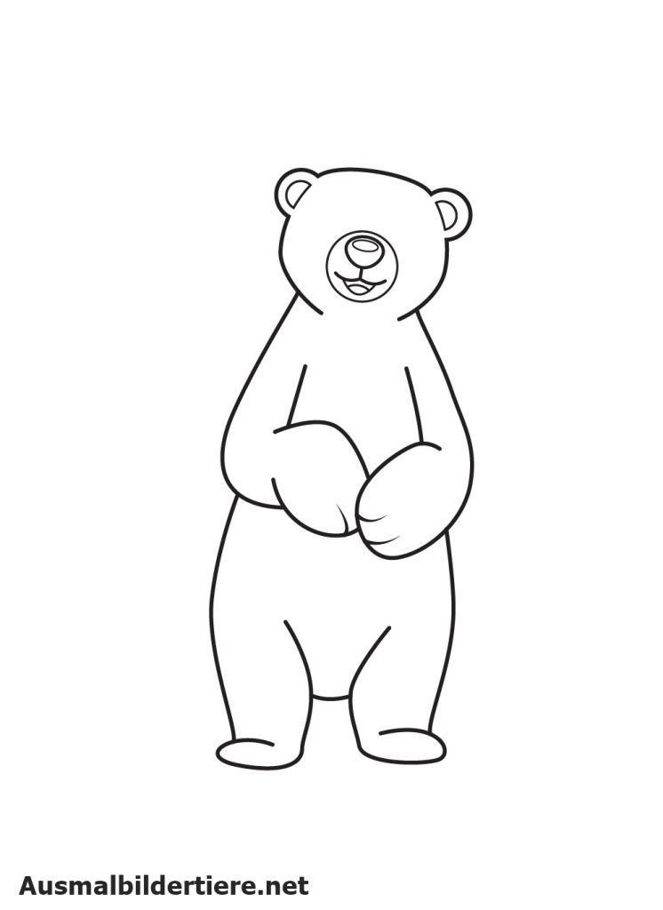 Eisbären Zeichnet Schritt 8