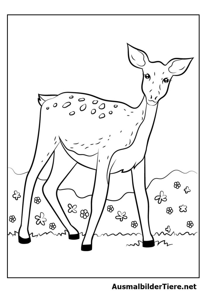 Bambi, Hirsche Malvorlagen Kostenlos als PDF