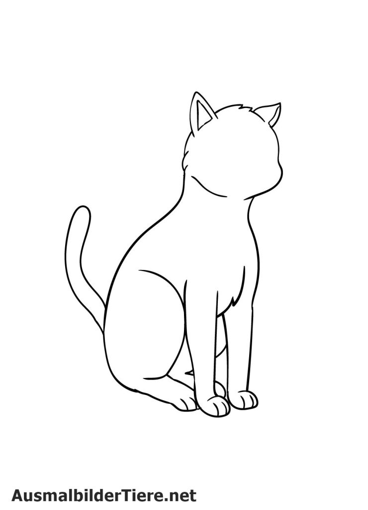 Katze Zeichnen Schritt 7