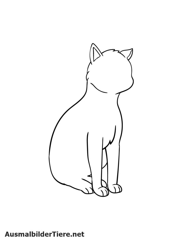 Katze Zeichnen Schritt 6