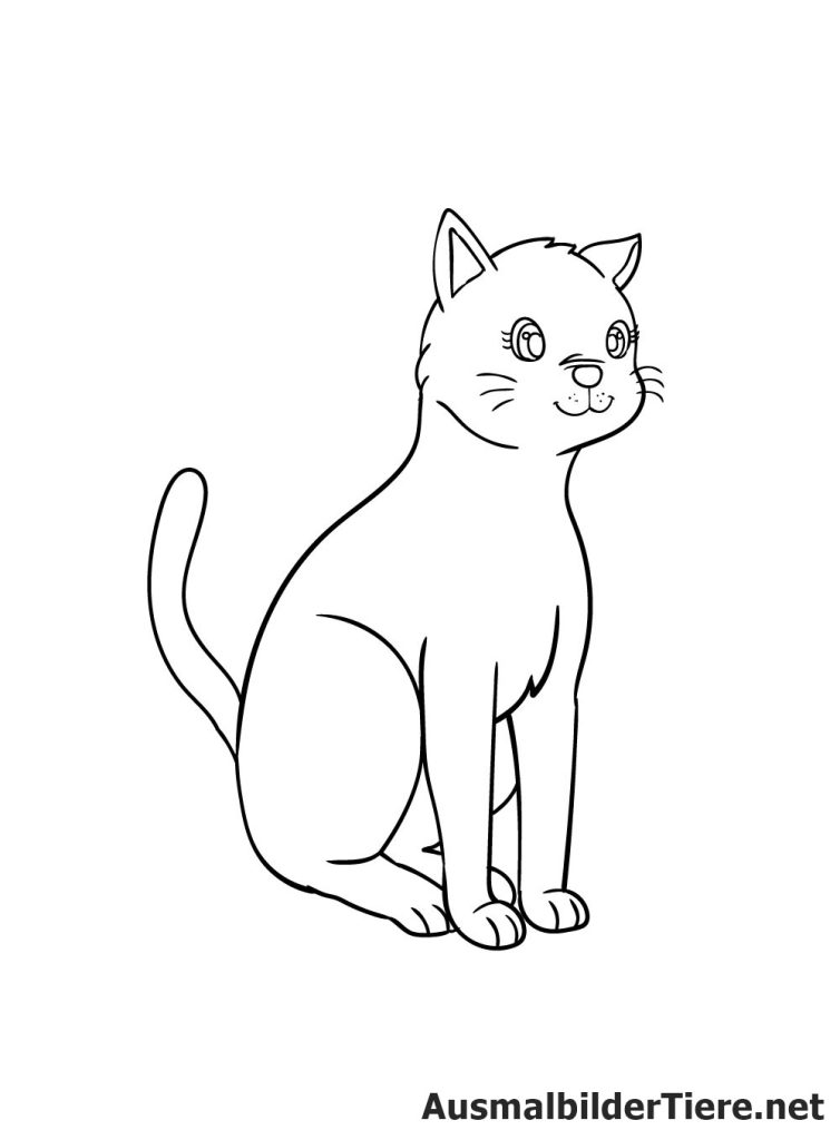 Katze Zeichnen Schritt 8