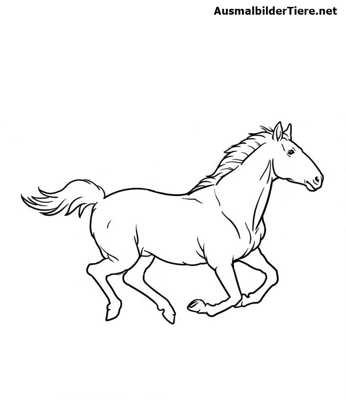 Ausmalbild Pferd Zum Ausdrucken