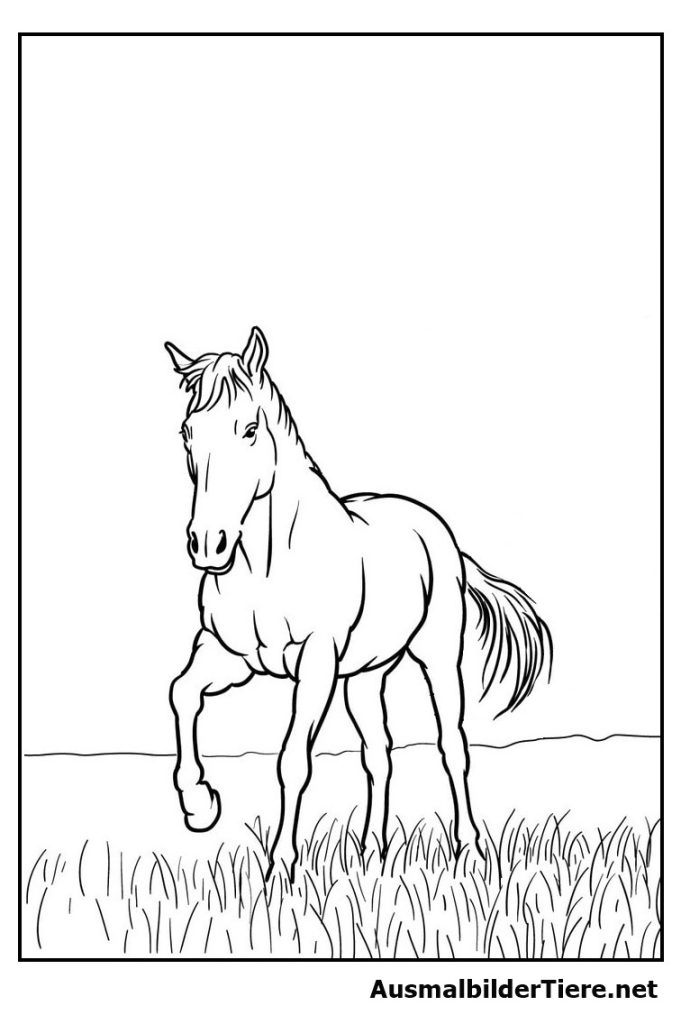 Ausmalbilder Pferde. Detaillierte Pferd, 9 Stück Kostenlos als PDF