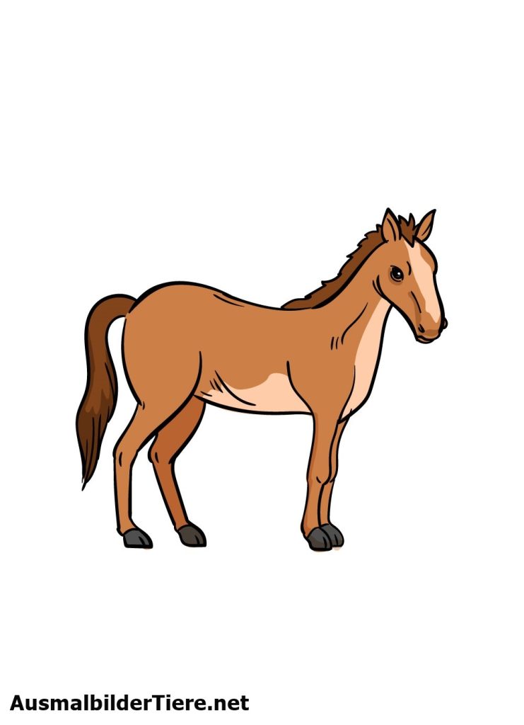 Pferd Zeichnet - Pferdezeichnung in Nur 8 Stück, Einfach Schritten!