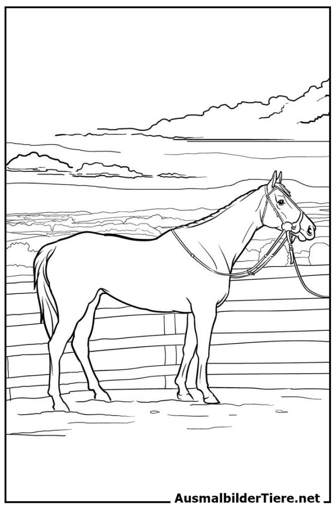 Ausmalbilder Pferde. Detaillierte Pferd, 9 Stück Kostenlos als PDF