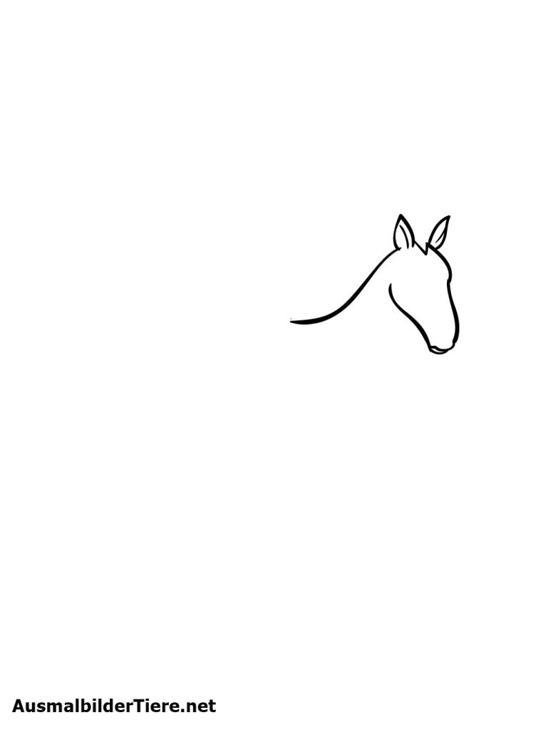 Pferde Zeichnen Schritt 1