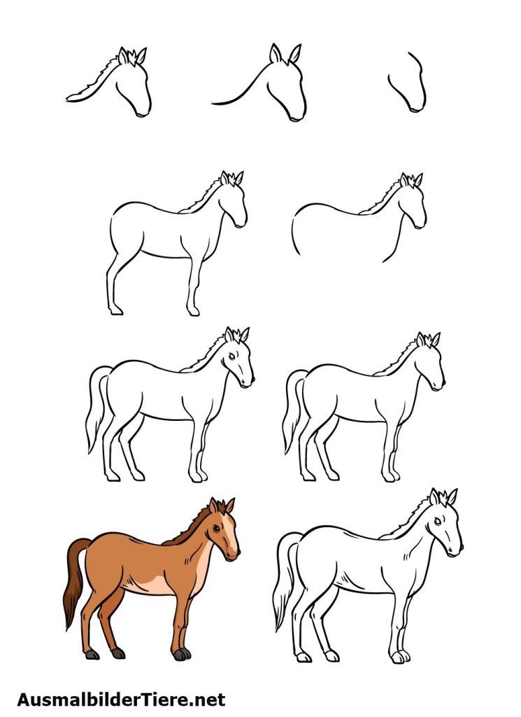 Wie zeichnet man ein Pferd in 9 Schritten