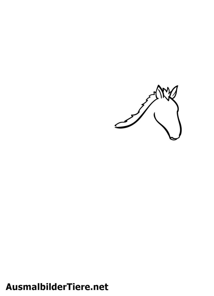 Pferde Zeichnen Schritt 2
