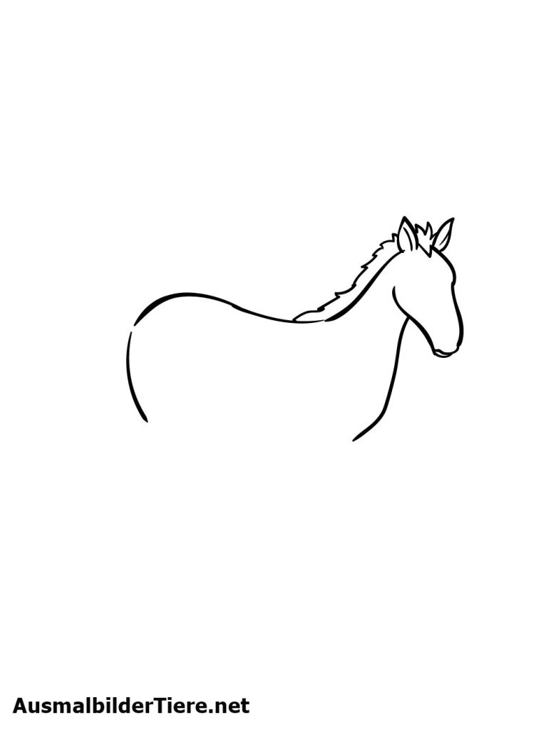 Pferde Zeichnen Schritt 4